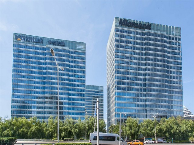 娄底新型猫粮零食营养品价格是多少